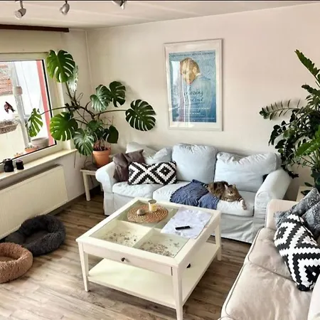 Ferienwohnung Sonnenschein *